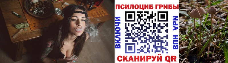 Псилоцибиновые грибы Cubensis  Берёзовский 